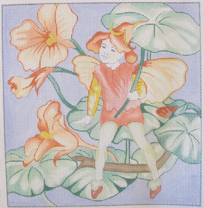 Nasturtium Fairy